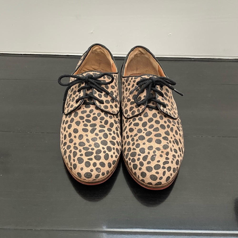 Dolce Vita leopard oxfords